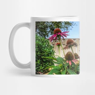 Coneflowers Reaching High by Debra Martz Mug